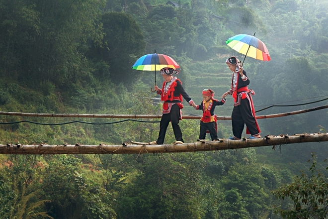 Cầu tre Đông Bắc. 